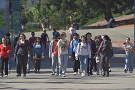 Администрация Трампа запретила Гарварду принимать иностранных студентов