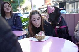 В Аргентине всё чаще заводят домашних питомцев, а не детей