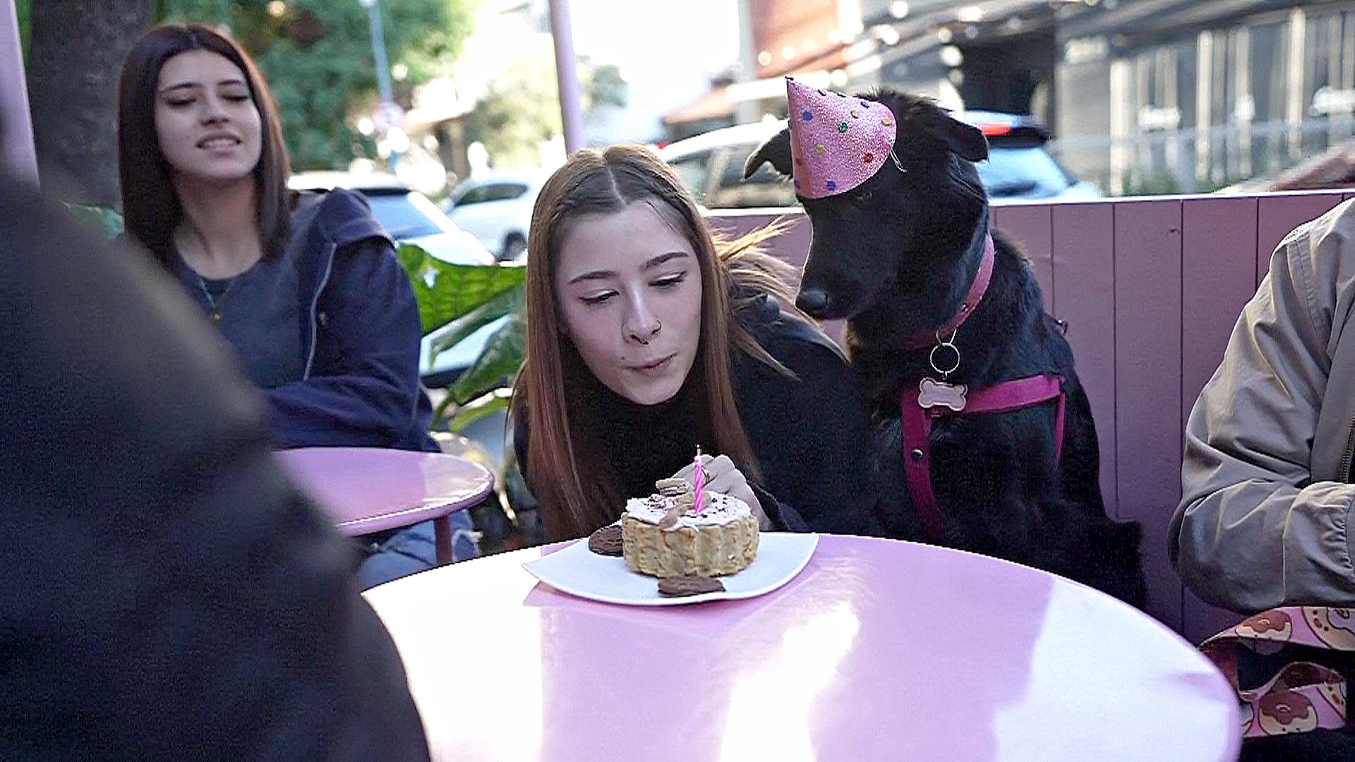 В Аргентине всё чаще заводят домашних питомцев, а не детей В Аргентине всё чаще заводят домашних питомцев, а не детей