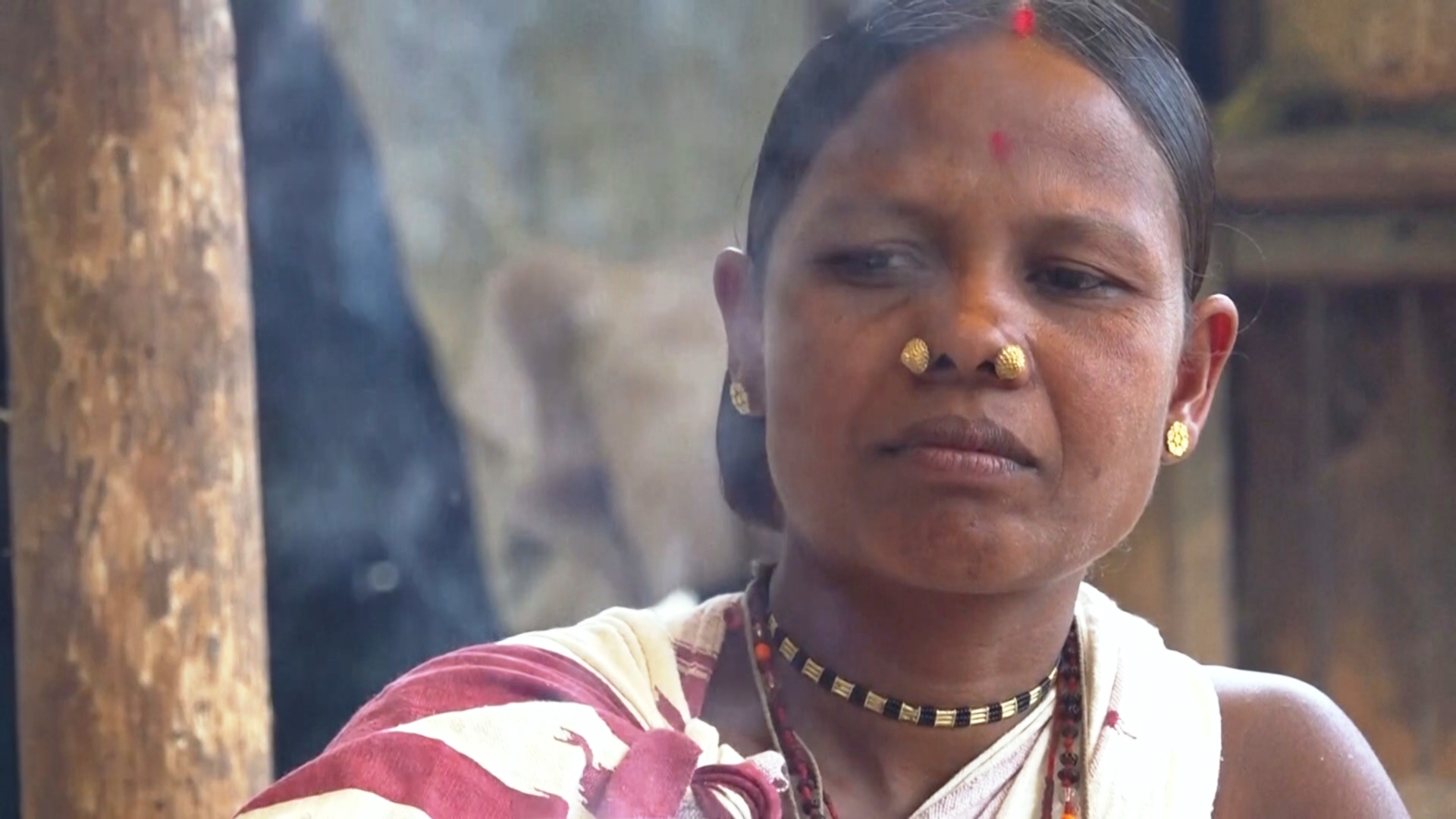 Индийские аборигенки составляют «карты мечты», надеясь защитить свои земли