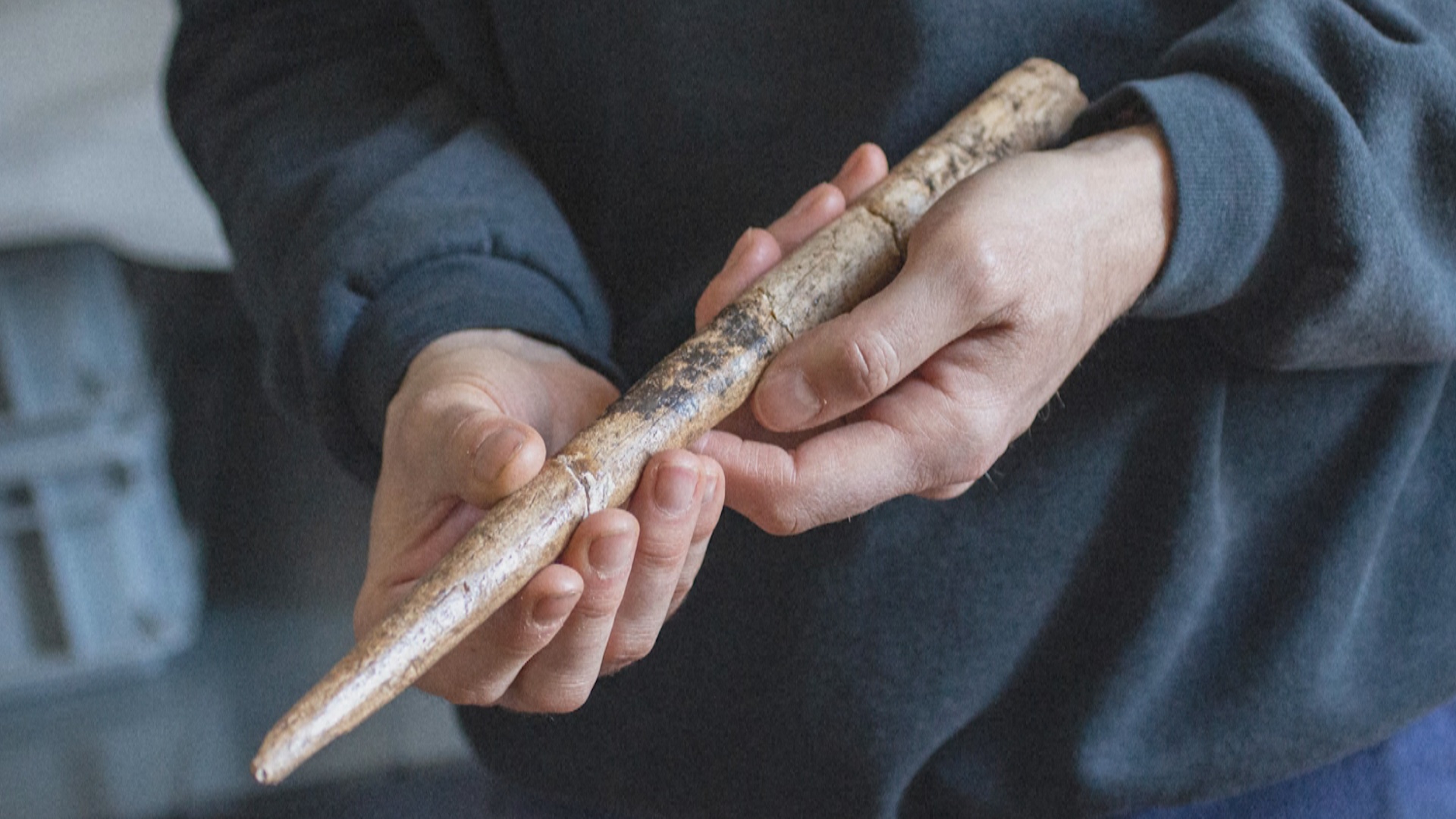 Учёные нашли древнее оружие из костей китов возрастом 20 тысяч лет