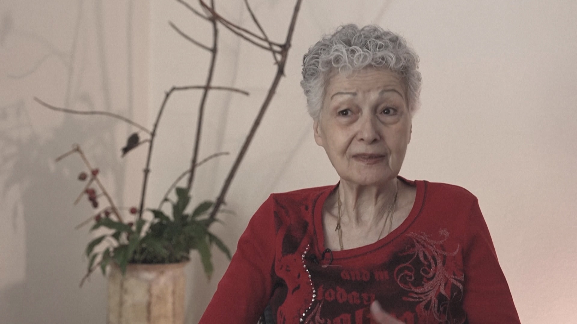 Женщина открыла центр спасения колибри в своей квартире в Мехико Женщина открыла центр спасения колибри в своей квартире в Мехико