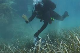 Дайверы-волонтёры убираются на морском дне у греческого острова Алонисос