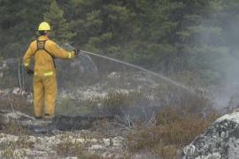 Спасатели спешат взять под контроль лесной пожар рядом с Черчилл-Фолсом в Канаде