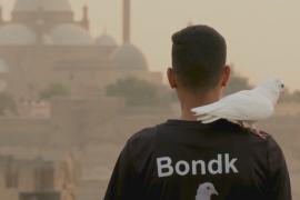 Египтянин ездит на мотоцикле в сопровождении голубя