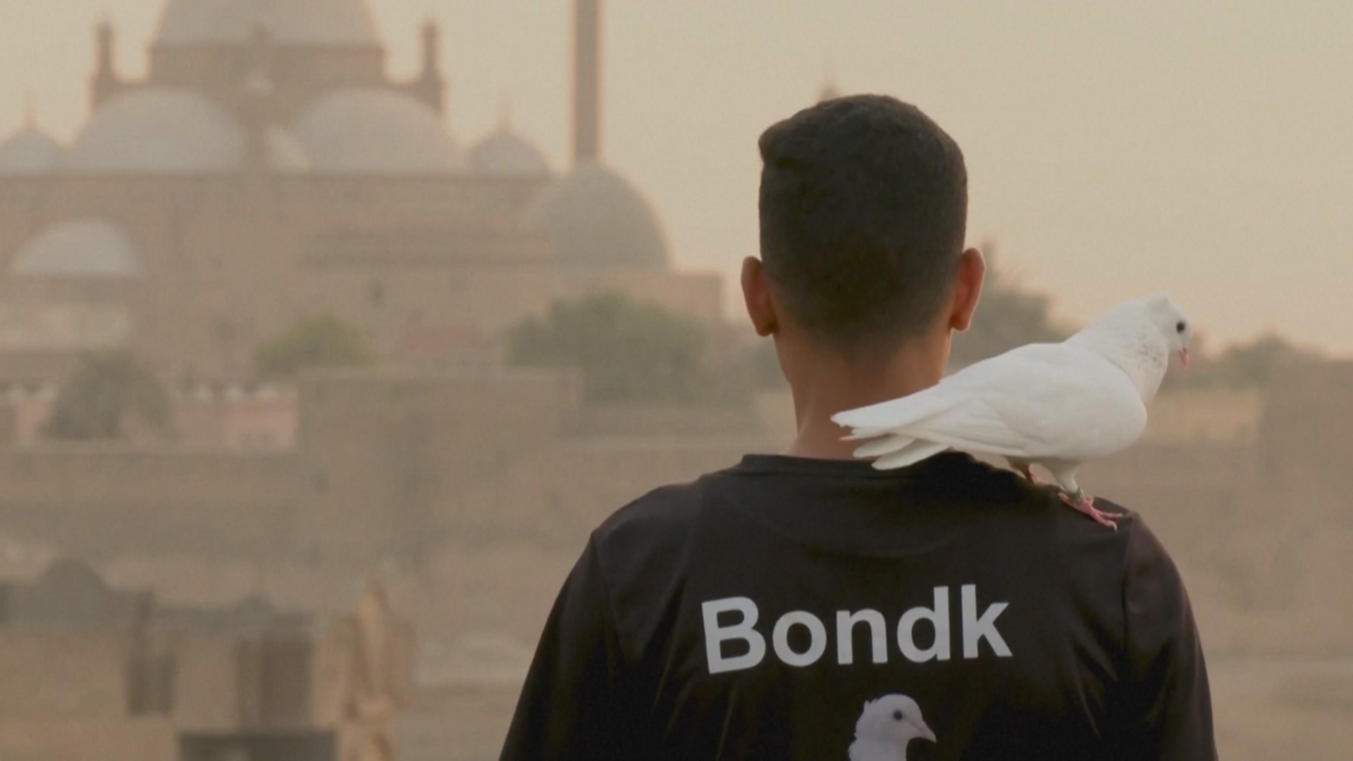 Египтянин ездит на мотоцикле в сопровождении голубя Египтянин ездит на мотоцикле в сопровождении голубя