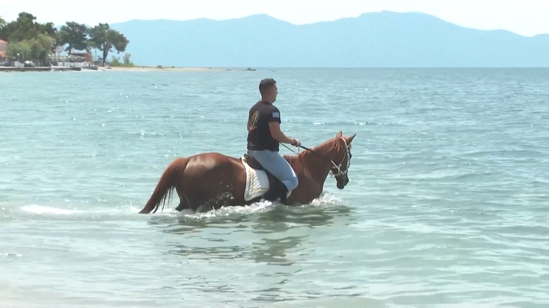 Как лошади в Греции проходят обряд очищения в море Как лошади в Греции проходят обряд очищения в море