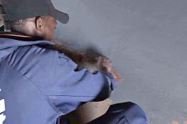 Экологичные полы на основе глины кладут в домах бедных угандийцев