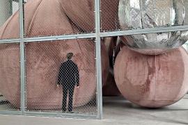 Большой дворец в Париже встречает зрителей выставкой воздушного искусства