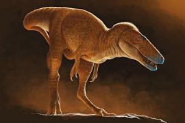 Учёные нашли в Монголии нового родственника Т-рекса