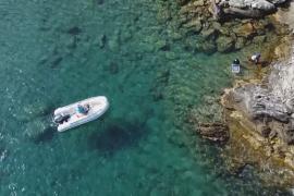 У греческого острова Ярос восстанавливают подводные леса водорослей