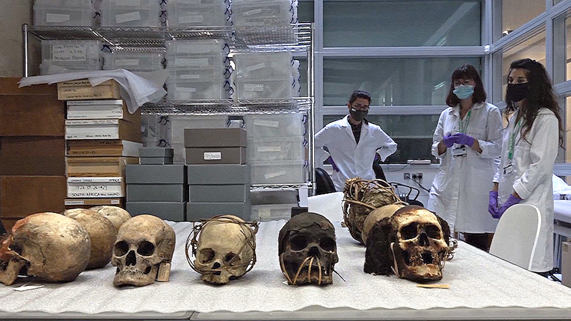 Индийские племена требуют возвращения останков предков из британского музея Индийские племена требуют возвращения останков предков из британского музея