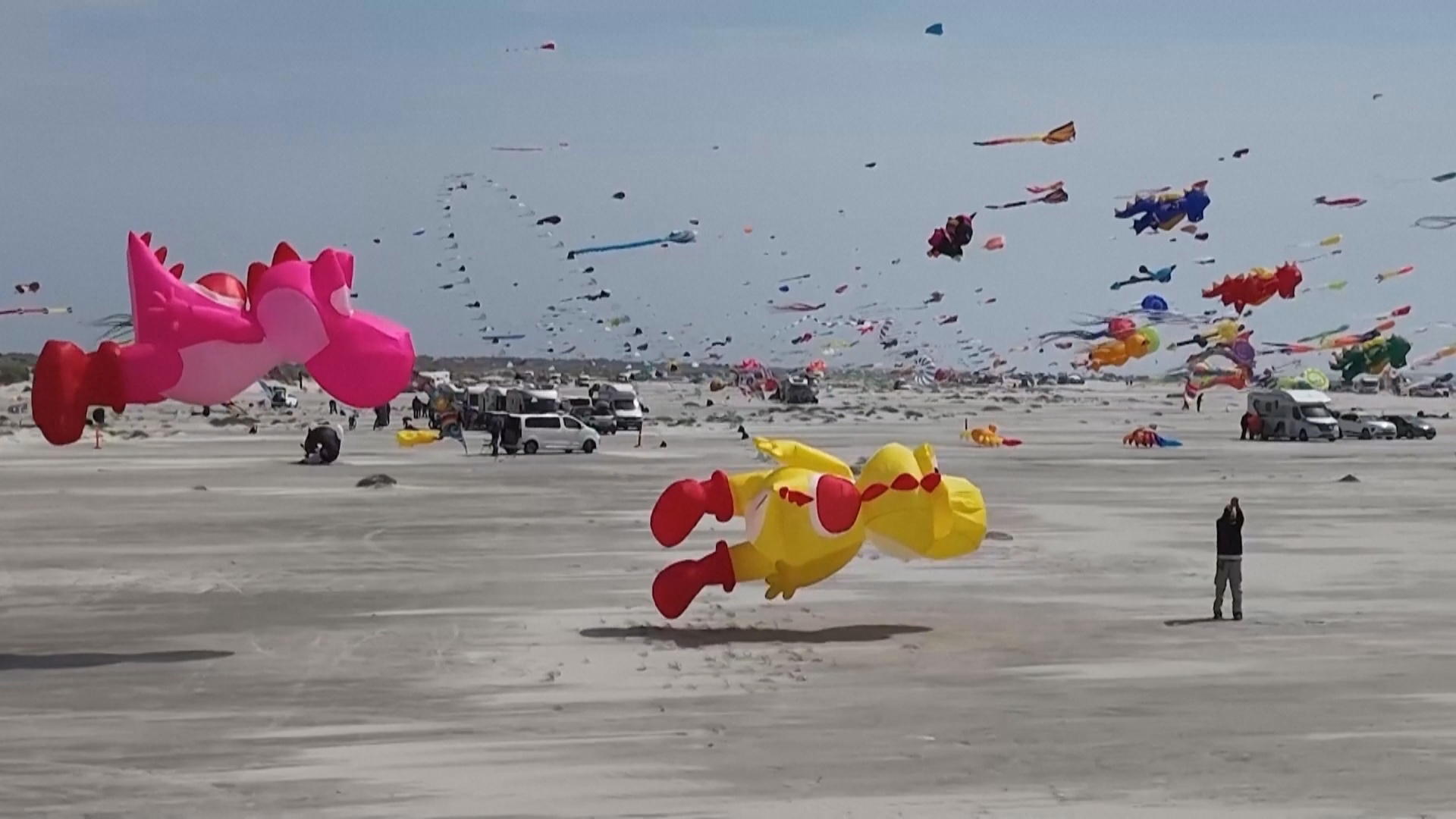 Сотни воздушных змеев украсили небо над островом Фанё в Дании Сотни воздушных змеев украсили небо над островом Фанё в Дании