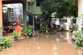 Ураган «Эрик» обрушился на Мексику