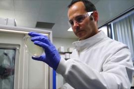 Британские учёные создали узор, который не даёт бактериям скапливаться на поверхности