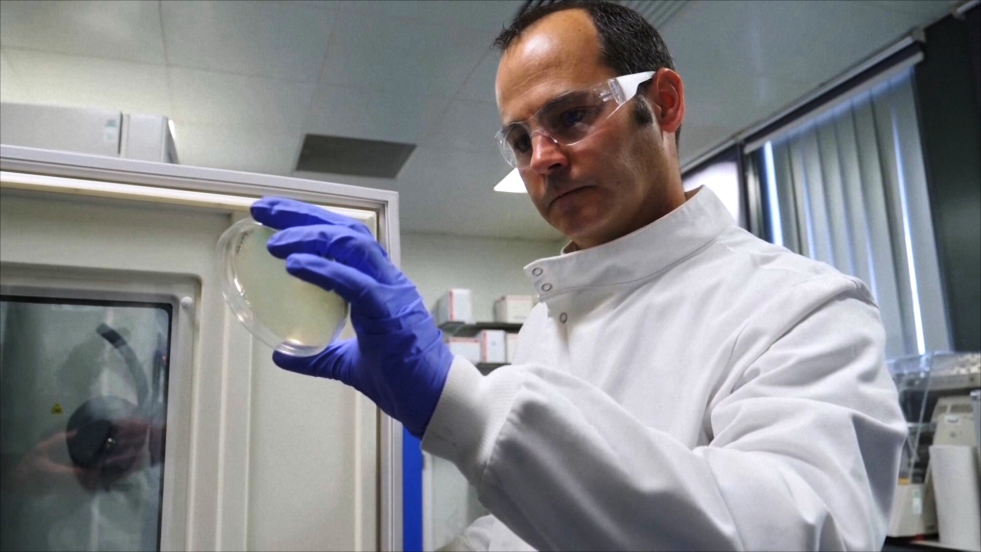 Британские учёные создали узор, который не даёт бактериям скапливаться на поверхности Британские учёные создали узор, который не даёт бактериям скапливаться на поверхности