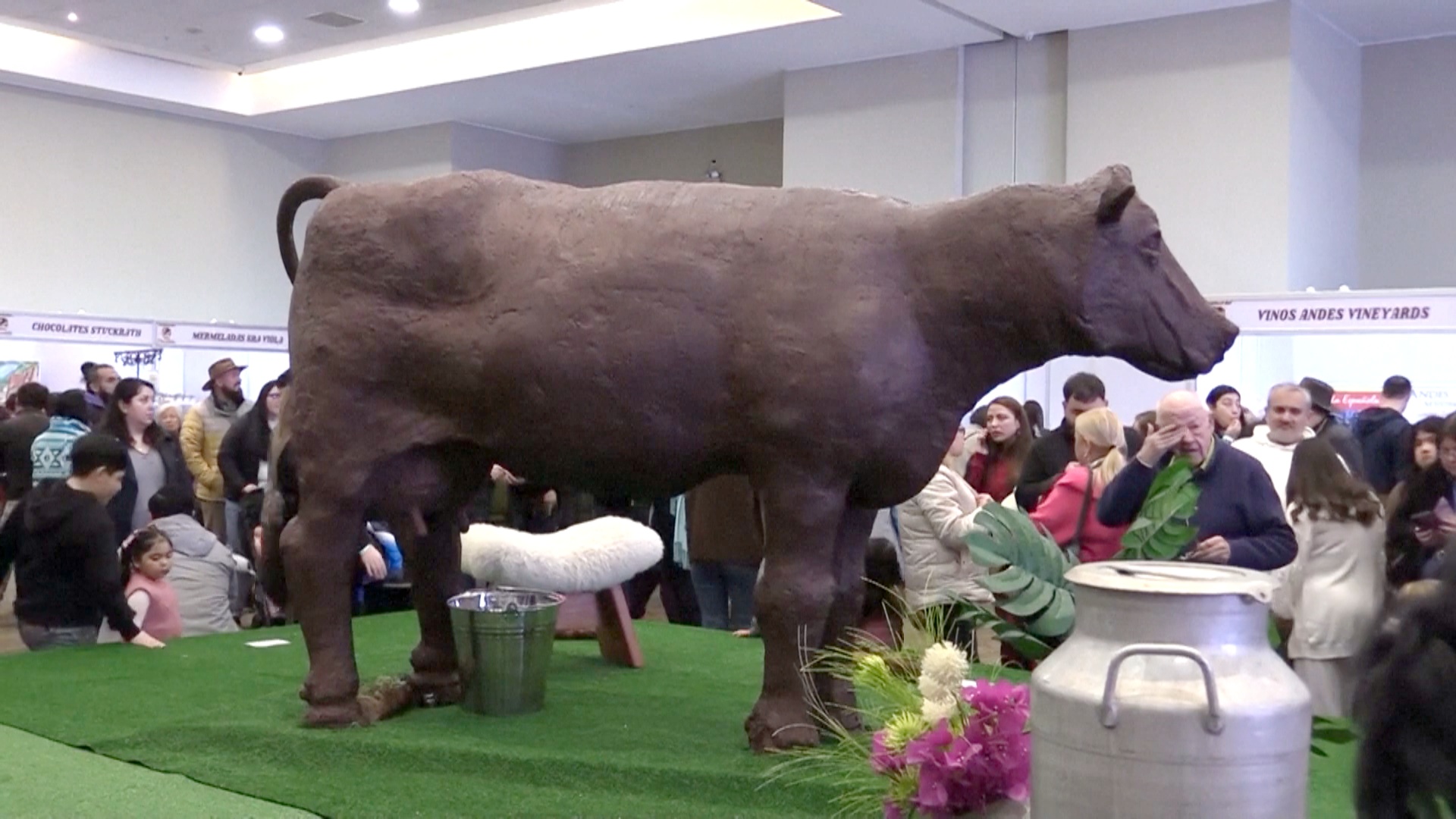 Шоколадная корова в натуральную величину стала звездой фестиваля в Чили Шоколадная корова в натуральную величину стала звездой фестиваля в Чили