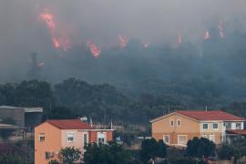 Под Афинами бушует лесной пожар: людей эвакуируют