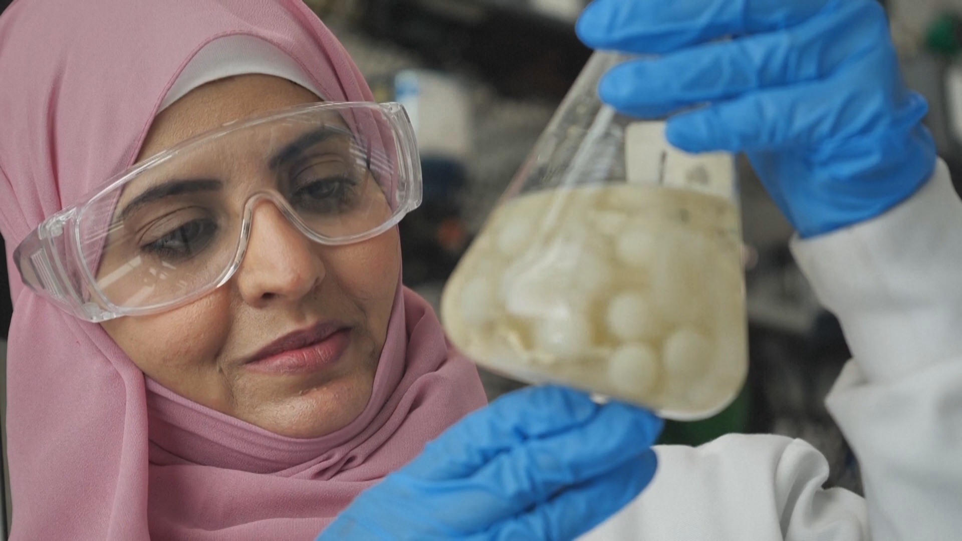 Учёные: морской грибок разлагает полипропилен, возможно, эффективнее наземных организмов