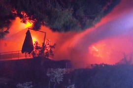 Более 50 000 человек эвакуированы из-за лесных пожаров в Турции