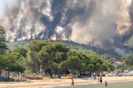 Лесные пожары бушуют рядом с курортами в Турции и на Крите