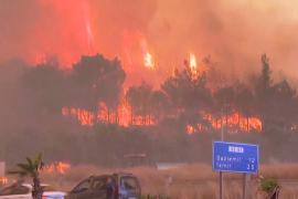 Лесные пожары в Турции: уже двое погибших