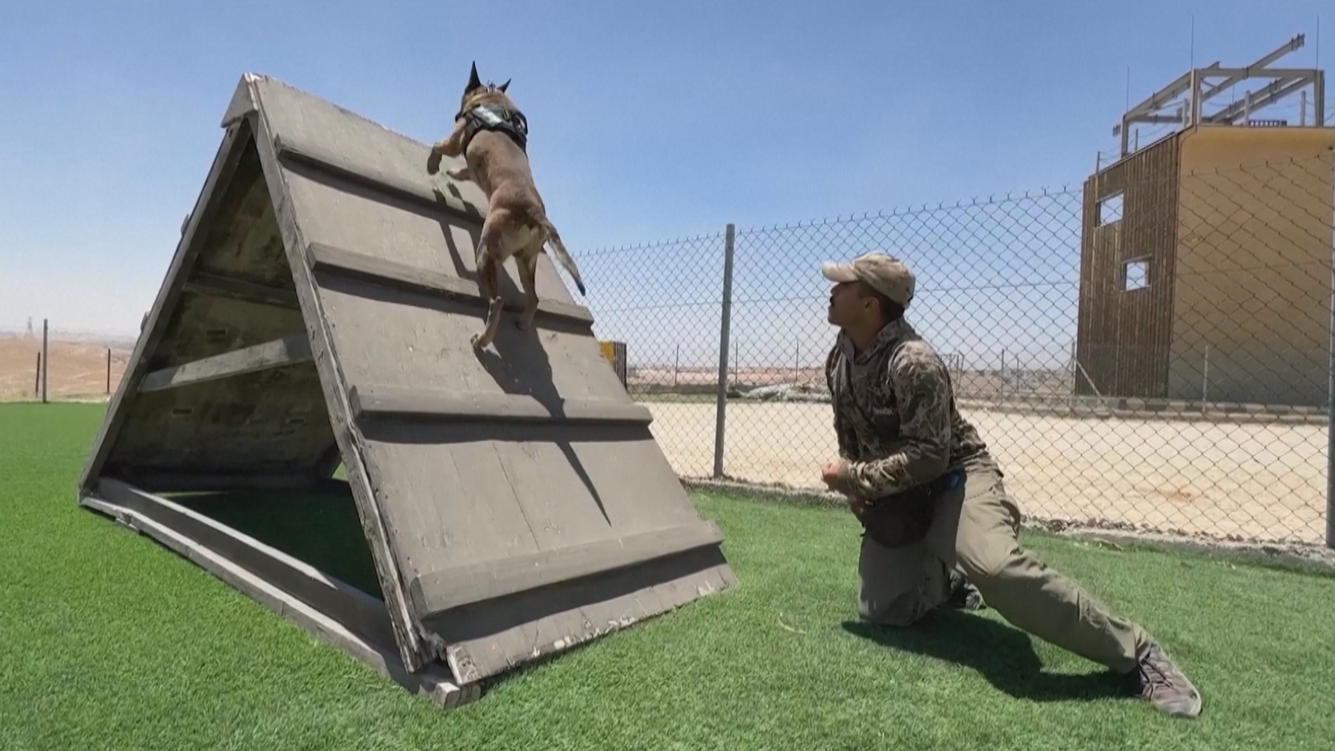 Полицейские собаки Иордании проходят строгую подготовку в центре К9 Полицейские собаки Иордании проходят строгую подготовку в центре К9