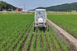 Япония призывает фермеров выращивать больше риса