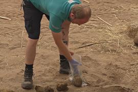 Британские учёные собирают гены из помёта для спасения видов