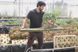 Ливийские фермеры используют аквапонику, чтобы решить проблему нехватки воды