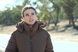 Помогут ли «виртуальные» ограждения защитить животных от гибели на дорогах?