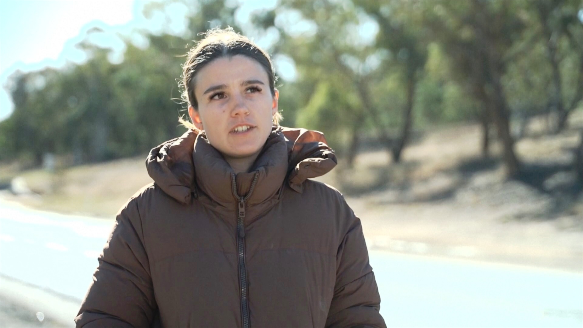 Помогут ли «виртуальные» ограждения защитить животных от гибели на дорогах? Помогут ли «виртуальные» ограждения защитить животных от гибели на дорогах?