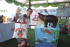 Бегемотик-звезда Му Денг из Таиланда празднует первый день рождения