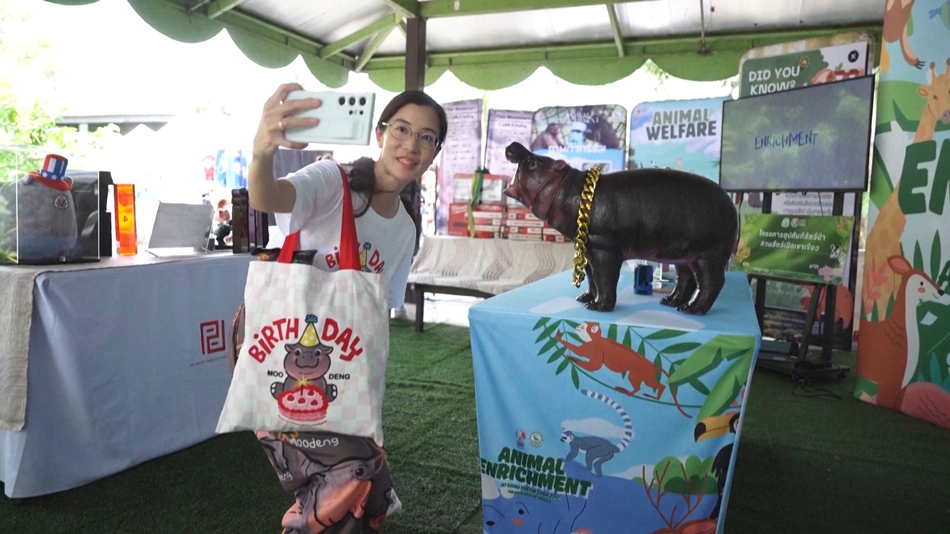 Бегемотик-звезда Му Денг из Таиланда празднует первый день рождения