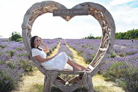 Лавандовые поля Лондона привлекают туристов