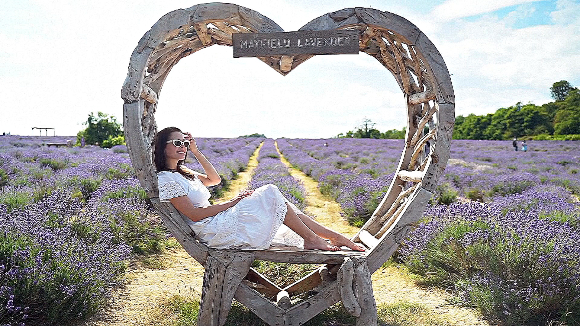 Лавандовые поля Лондона привлекают туристов Лавандовые поля Лондона привлекают туристов