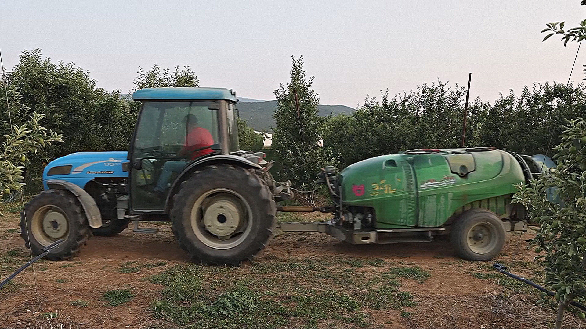 Греческие фермеры используют запрещённые пестициды, чтобы сэкономить Греческие фермеры используют запрещённые пестициды, чтобы сэкономить