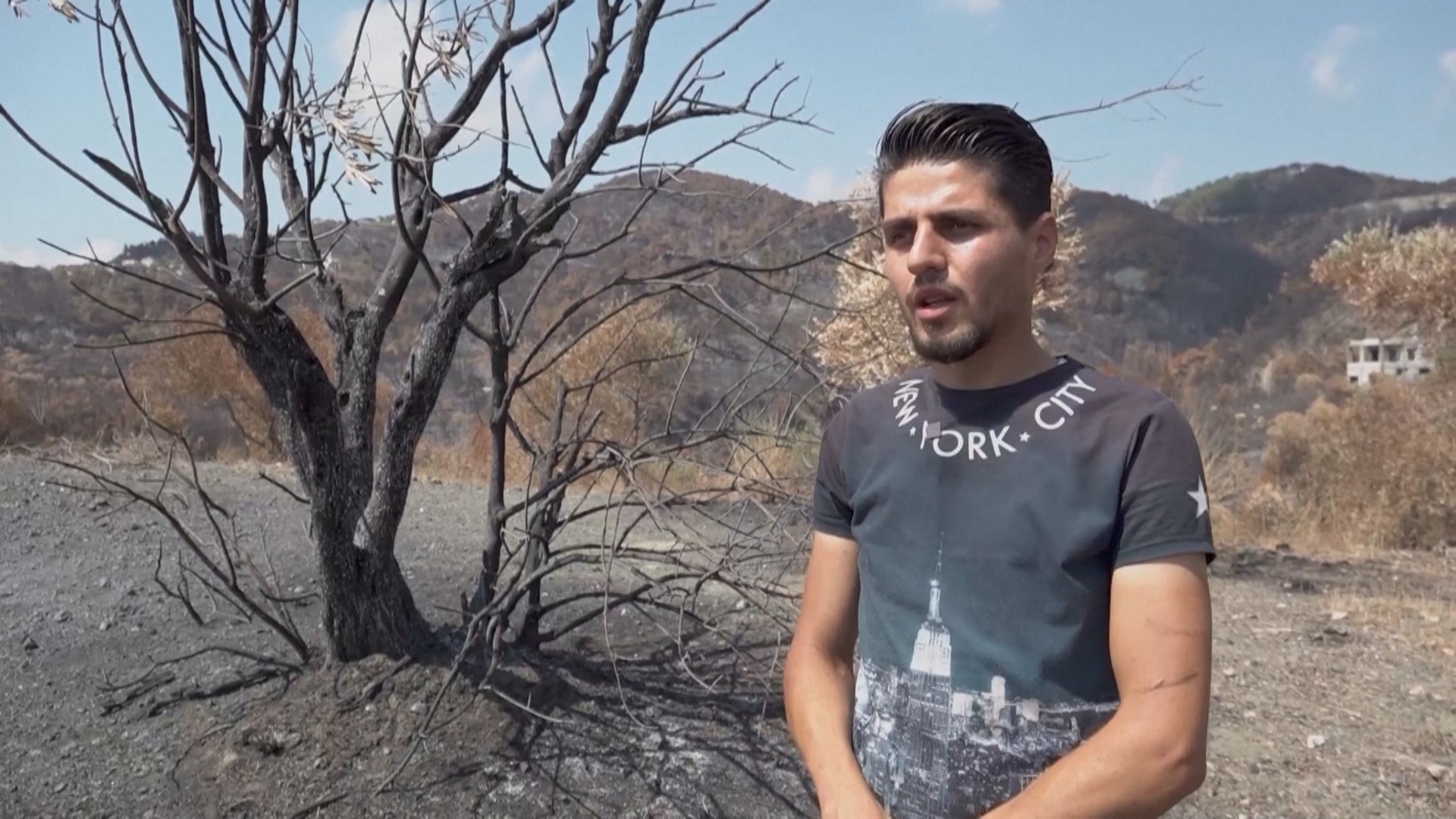 Пожары в Сирии разрушили жизнь фермеров Пожары в Сирии разрушили жизнь фермеров