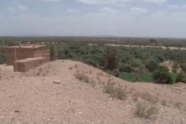 В Марокко останавливают опустынивание и спасают оазисы