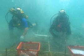 В Албании раскапывают древнейшее в Европе озёрное поселение