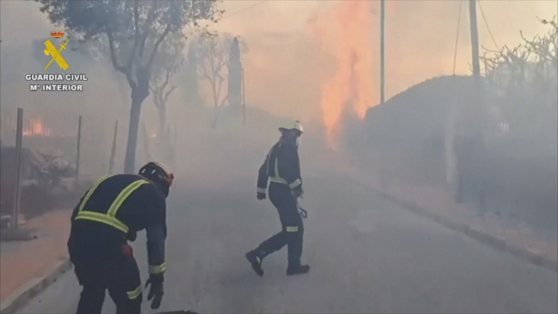 Столицу Испании окутало дымом из-за лесного пожара Столицу Испании окутало дымом из-за лесного пожара