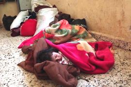 Из Сувейды в Сирии, где разгорелось насилие, эвакуируют бедуинов