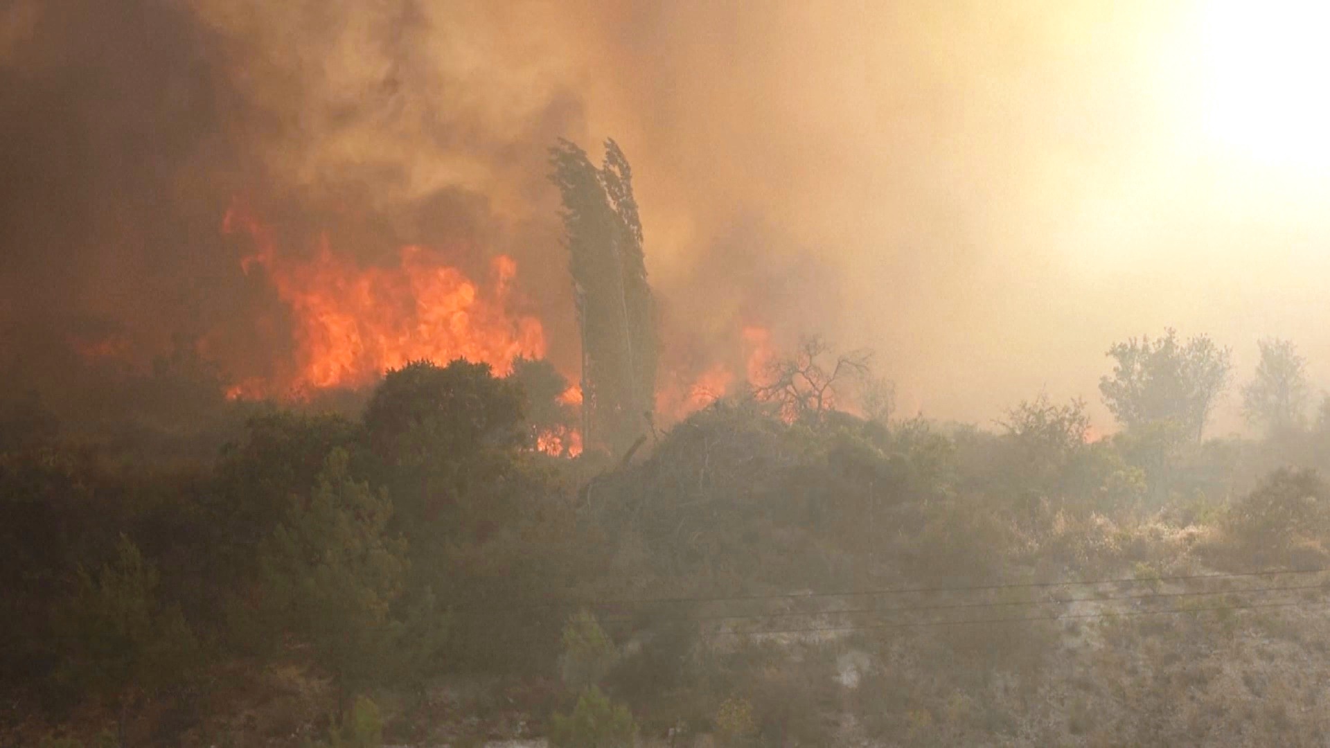 Разрушительный лесной пожар на Кипре: двое погибших Разрушительный лесной пожар на Кипре: двое погибших