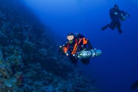 Какие баллоны и регуляторы используют в техническом дайвинге