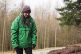 В Англии волосистых лесных муравьев переселяют на новые мест