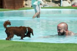 В Испании собаки вместе с хозяевами находят спасение от жары в аквапарке