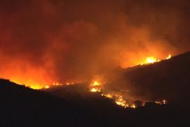 Экстремальная погода: Азия тонет, а Европа горит