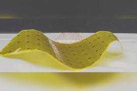 Лист-робот, который умеет ползать, создали в Южной Корее