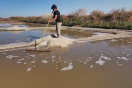 Кадры с дрона: как получают морскую соль на западе Франции