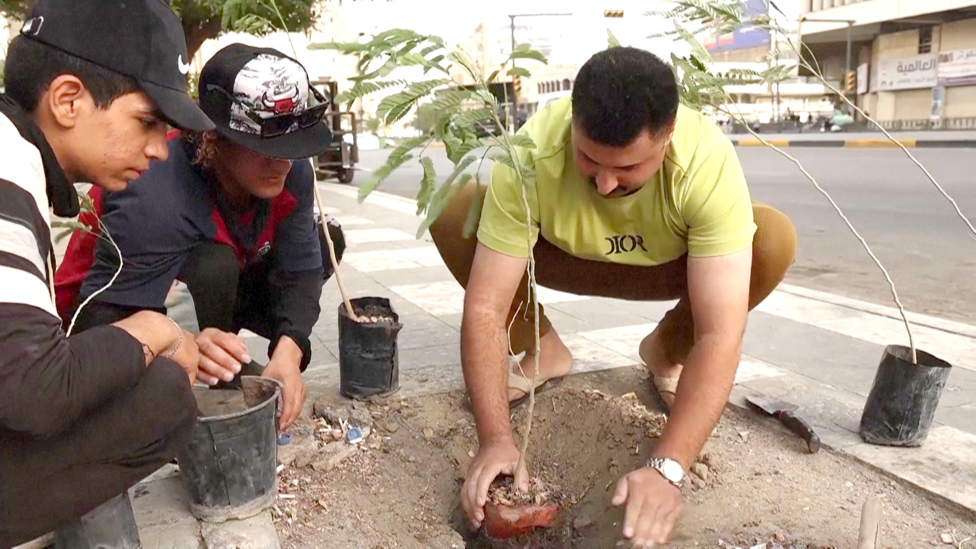 Иракский волонтёр выращивает саженцы деревьев и раздаёт их людям